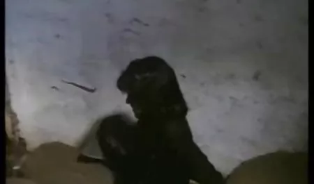 VirtualRealPorn.com - شما نمی توانید مرا گیر دانلود رایگان فیلم سکسی دهید